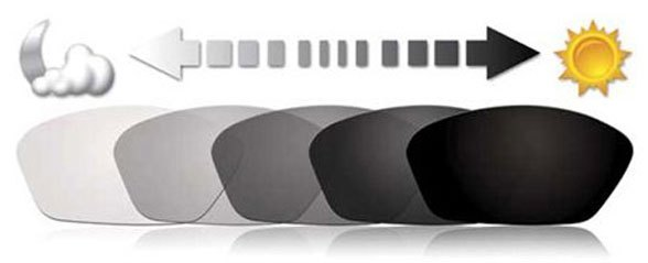 Rad8 504 - Photochromic Lenses, Black Frame